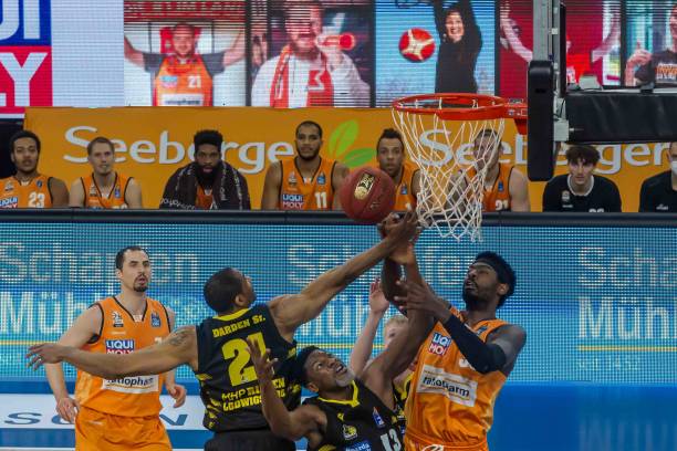 熊的比赛 熊的比赛