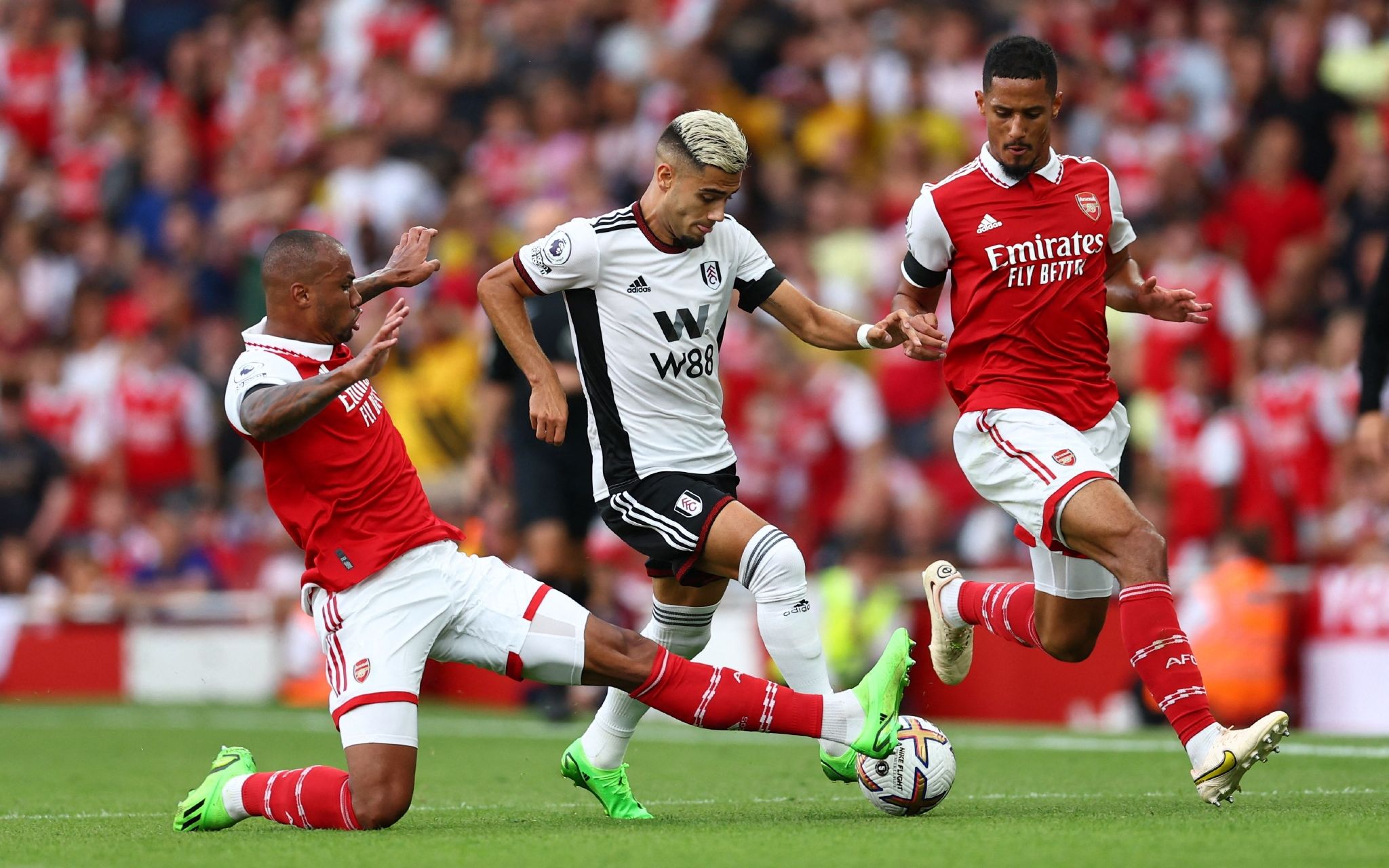 火炬手们在 火炬手们在